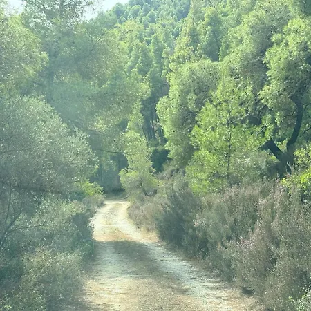 Philippos 1 * Diáporosz