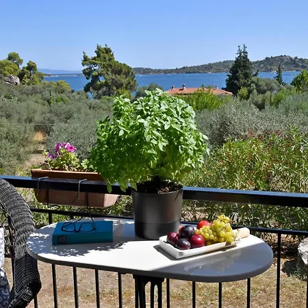 公寓 Philippos 1 Diaporos