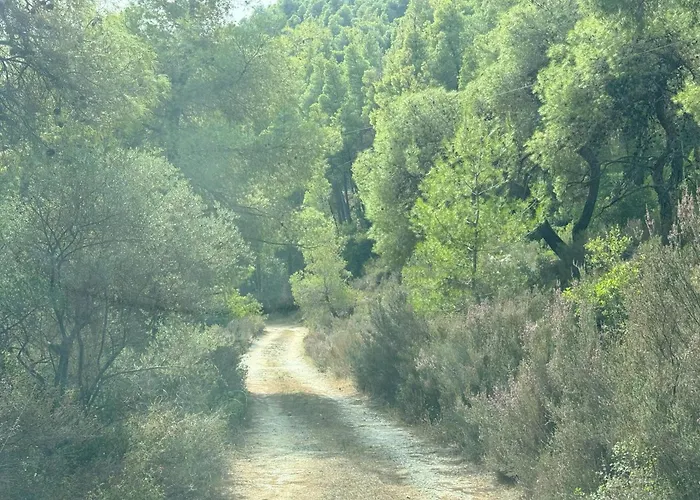 Philippos 1 * Diaporos